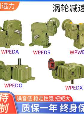 WPWDO.X.A.S.T.V变速箱 蜗轮蜗杆减速机厂家 涡轮减速器