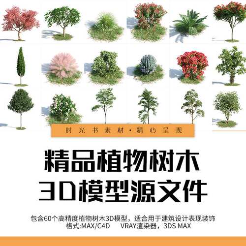 植物树木3DMAX单体模型C4D Vray渲染器户外野外园林景观素材库
