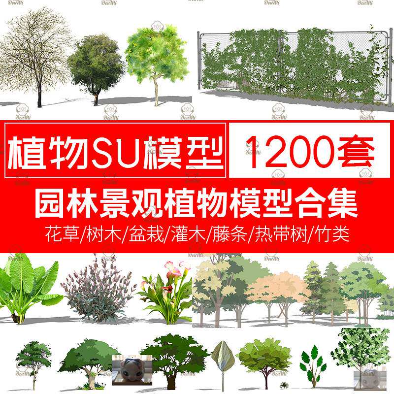 园林景观植物SU模型花草树木盆栽热带竹类乔木花卉草图大师素材库
