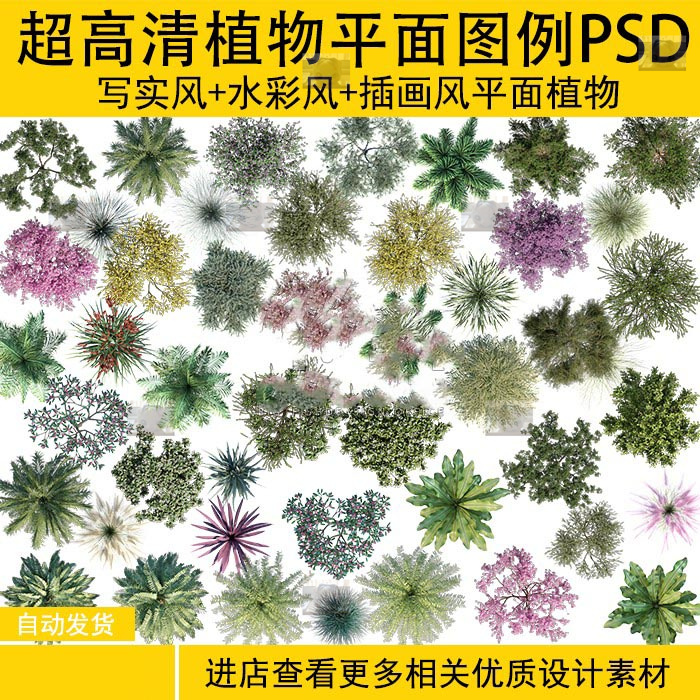 手绘水彩水墨风格景观园林植物PSD彩色平面图小清新竞赛效果设计