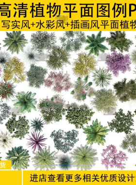 手绘水彩水墨风格景观园林植物PSD彩色平面图小清新竞赛效果设计