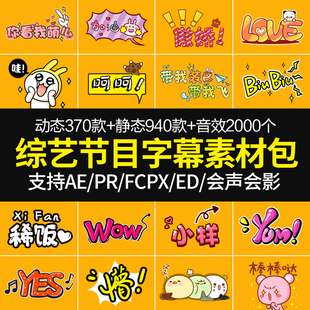 综艺电视音效节目字幕素材包动态模板真人秀动画卡通可爱PR花字体