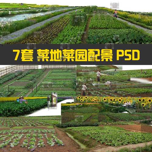 园林景观PSD微菜地菜园配景效果图美丽乡村新农村后期PS分层素材