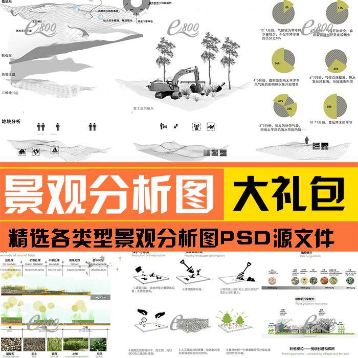 竞赛风场地现状背景问题田林地动植物叠层空间景观分析图PSD素材