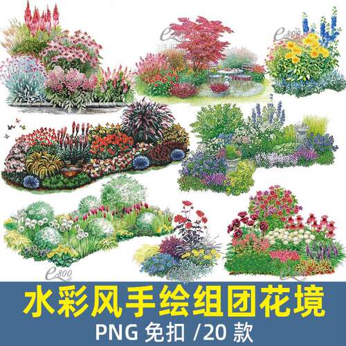 PS玉簪火炬毛地黄矾根枫树绣球花水彩手绘组团花境png免扣素材