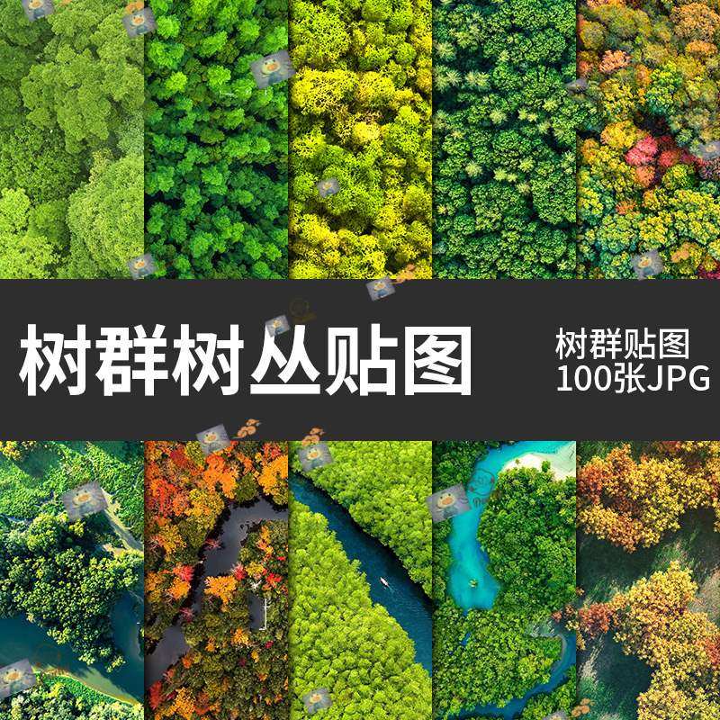 竞赛风树群树丛平面鸟瞰图树木植物彩平效果图ps拼贴配景后期素材