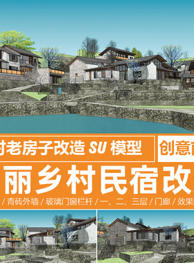 美丽乡村民宿改造SU模型新农村老房子翻新院落建筑外立面设计素材