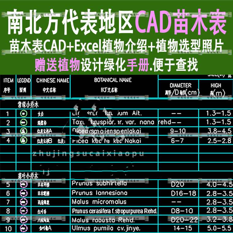 CAD苗木配置表景观植物道路公园绿化施工苗木优选园林设计素材