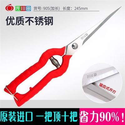 园艺剪刀园艺工具加长花剪修枝剪刀疏果树枝剪摘果剪修剪
