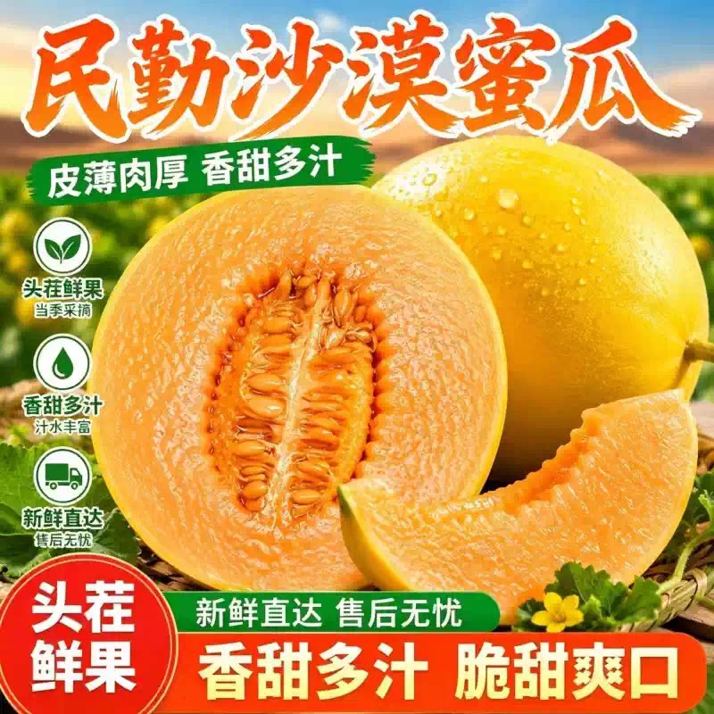 黄河民勤蜜瓜甘肃沙漠现摘新鲜黄河甜瓜金红宝脆甜多汁当季鲜果