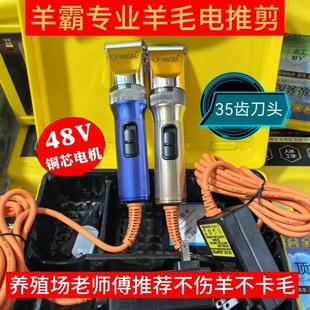 羊霸48V大功率铜芯羊毛推剪插电宠物狗猫电推剪绵羊山羊兔剃毛器