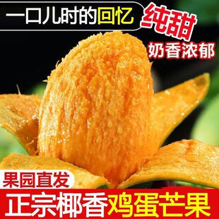 正宗攀枝花椰香鸡蛋芒果新鲜现摘现发当季水果整箱批发