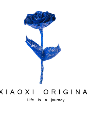 XIAO XI手工原创设计玫瑰干花蓝色妖姬胸针精美时尚礼服胸花配饰