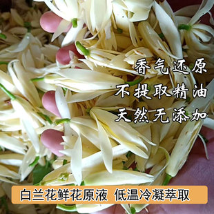 黃角蘭白蘭花細胞液 低溫冷萃鮮花原液非純露