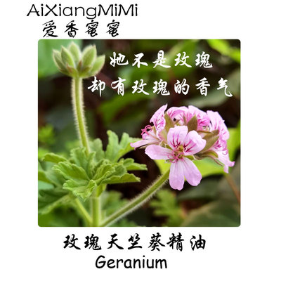 玫瑰天竺葵单方精油天然植物香叶天竺葵精油平民玫瑰正品扩香香薰
