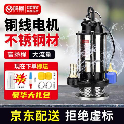 鸣固潜水泵220V家用抽水小型高扬程防汛农用不锈钢清水泵750W1寸
