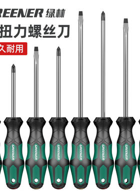 绿林（GREENER）螺丝刀3x100mm十字一字工业级强磁螺丝批工具套装