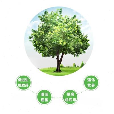 2桶送电钻 国光施它活营养液树木吊针液大树吊水花木绿化养护吊瓶