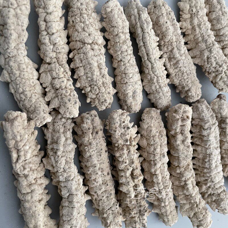 野生进口淡干黄玉刺王黄肉海参黄金刺参白刺参酒店食材250g包邮