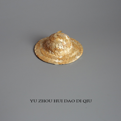 无聊了买个草帽玩儿！迷你草帽