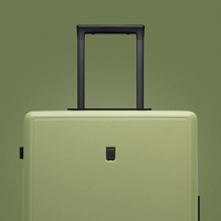 Горчица зеленый