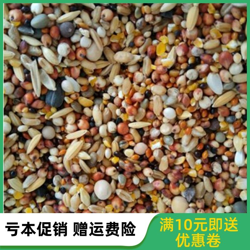 斑鸠活體鳥食鴿子斑鸠鹧鸪野雞文鳥玉米高粱營養飼料壹件五斤包郵在類目 寵物/寵物食品及用品, 鳥類及用品, 鳥中 - 來自Buy2taobao.com提供專業的淘寶代購服務