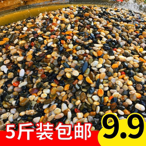 鱼缸底砂乌龟缸造景摆件溪流石头铺底龟缸造景专用沙冬眠沙子底沙