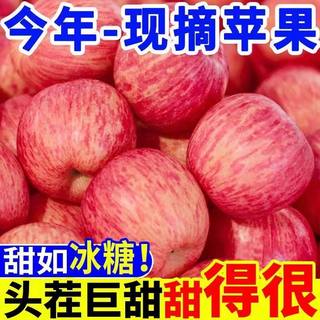 【超脆甜】正宗陕西洛川冰糖心红富士丑苹果孕妇新鲜水果一整箱