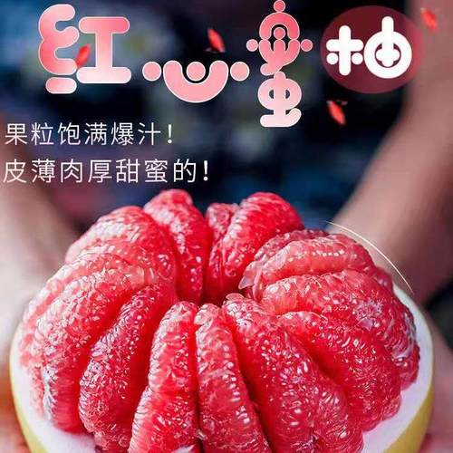 红肉蜜柚薄皮红心柚子当季多汁