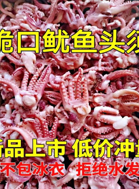 章鱼须鱿鱼头鱿鱼须新鲜