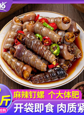 钉螺麻辣钉螺海螺丝500g麻辣海锥醉钉锥麻辣海鲜即食袋装海鲜商用