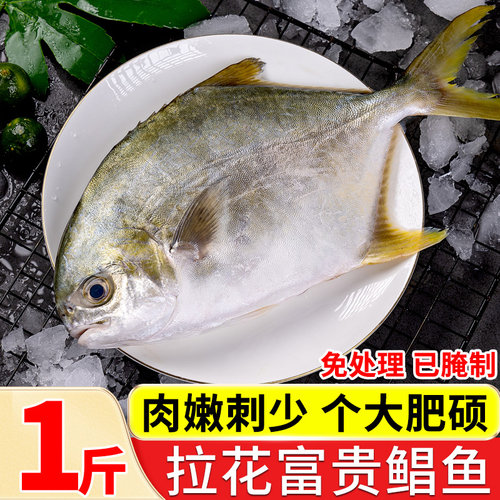拉花富贵鲳鲳免处理已腌制