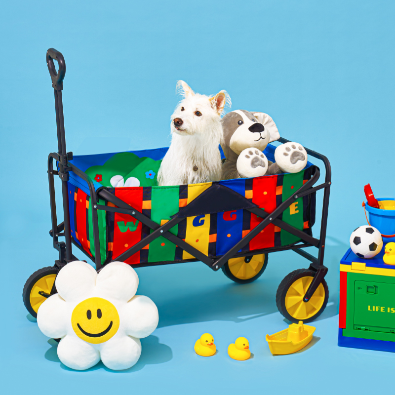 wiggle露营车户外营地车野餐车