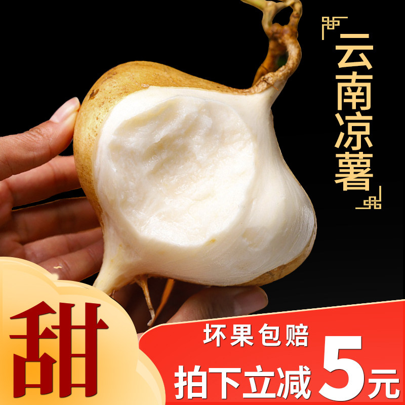 2025云南凉薯新鲜现挖地瓜白萝卜地萝卜农家特产土番薯白心即食