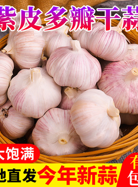 云南紫皮多瓣干蒜鲜独头蒜多瓣白皮装包邮农家今年新大干蒜4500g
