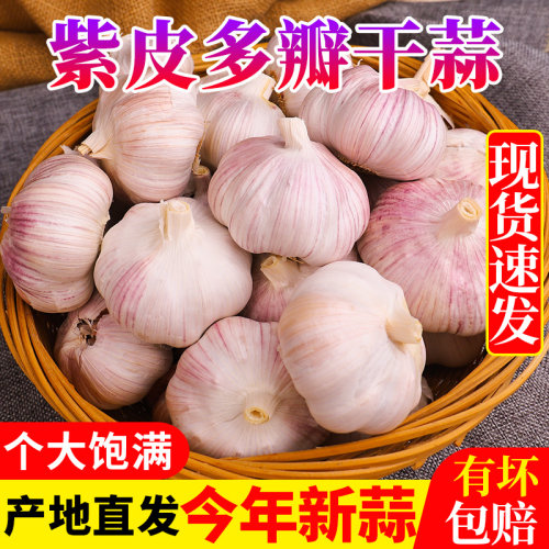 云南紫皮多瓣干蒜个大饱满