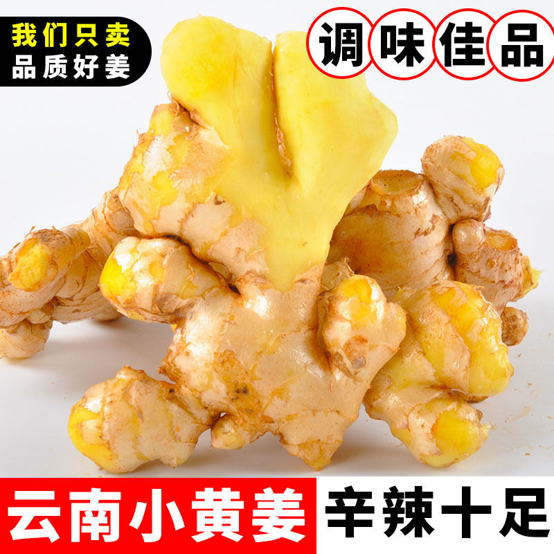 真品质货2025年云南高山小黄姜图片