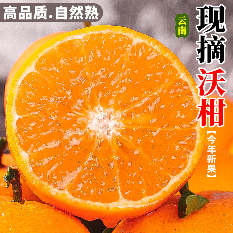 正宗云南高原沃柑新鲜现摘当季蜜桔砂糖橘一级纯甜皇帝蜜柑橘,水产肉类/新鲜蔬果/熟食,桔子,淘宝优惠券,粉丝福利购,淘宝优惠卷
