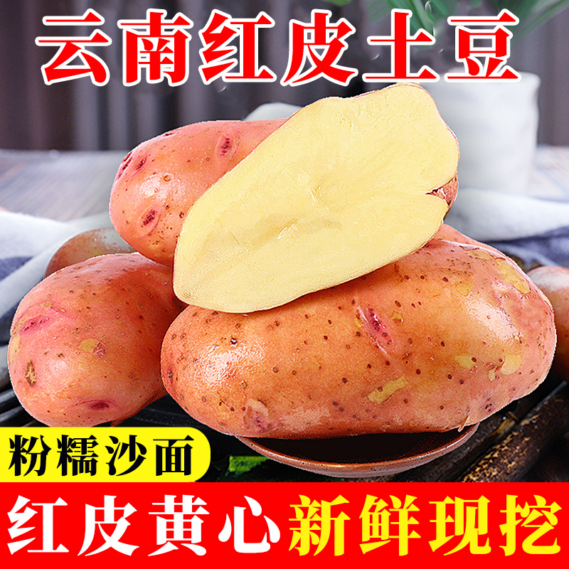 【官方推荐】2025云南红皮土豆