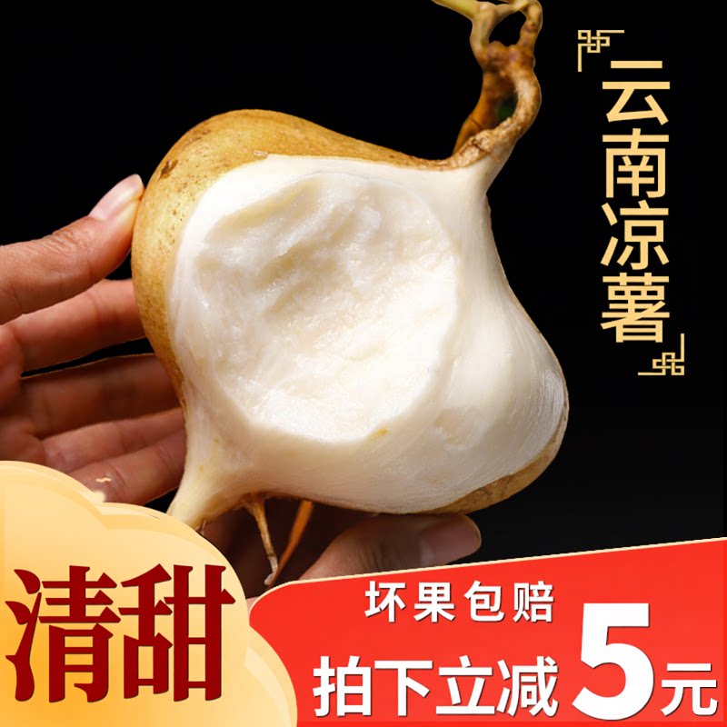 2025云南凉薯新鲜现挖地瓜白萝卜地萝卜农家特产土番薯白心即食