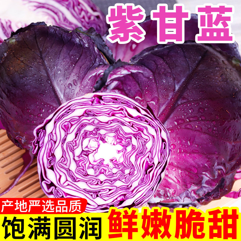 新鲜紫甘蓝云南包菜莲花白农家自种卷心菜脆嫩爽口蔬菜沙拉椰菜