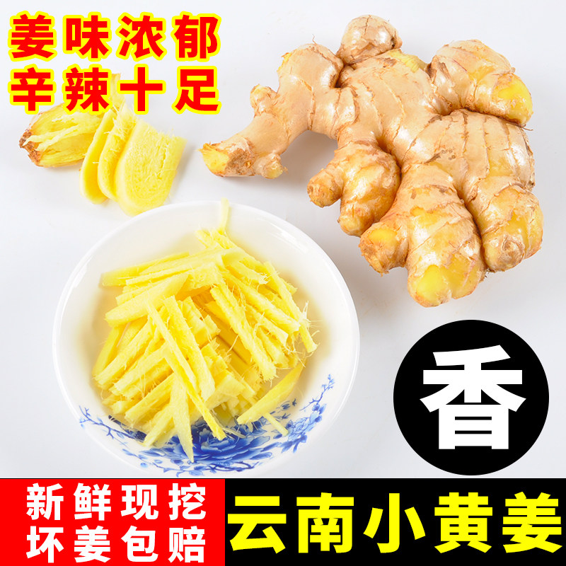 新姜正宗云南小黄姜辛辣新鲜现挖山地沙土老嫩姜蔬菜批发包邮5斤