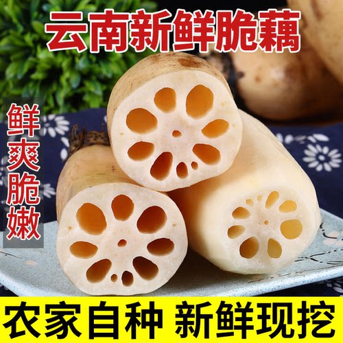言片光新鲜脆藕莲藕现挖现发