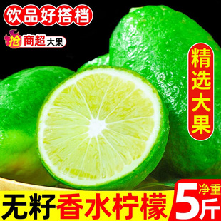 香水柠檬当季新鲜采摘水果青柠非广东云南香水檬长型子弹头包邮