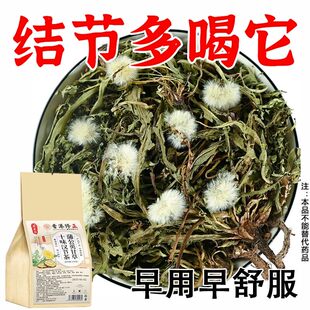 香港修正蒲公英散结茶乳腺结节散结增生结节疏通结节硬块囊肿清养润肺部特效消除官方正品