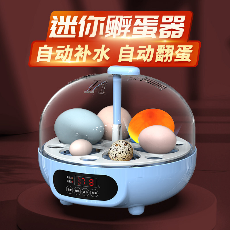 威振迷你孵蛋器家用全自动孵化机 智能鹌鹌孵化箱自动控温设备