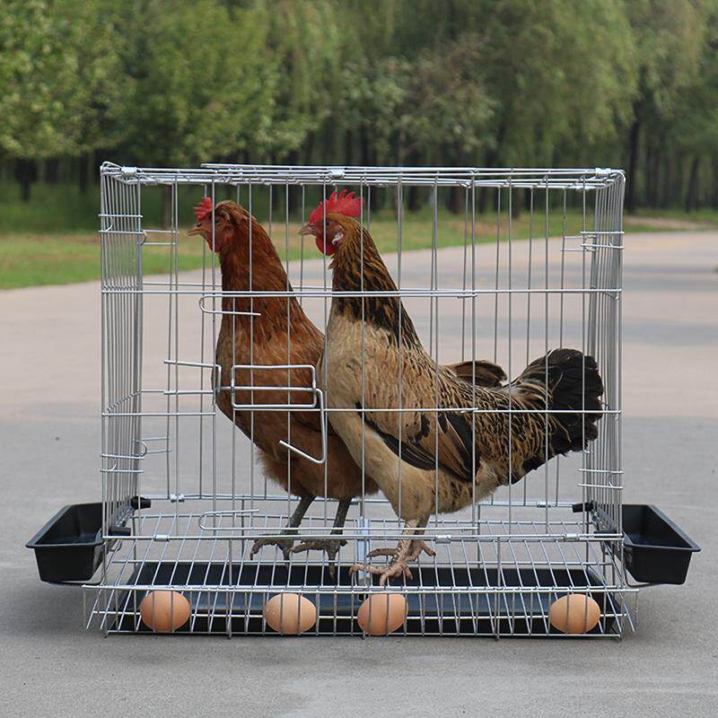 鸡笼自动清粪家用小号蛋鸡笼鹌鹑养殖笼自动滚蛋折叠鸡笼子鸡舍