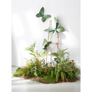 模拟丛林绿色植物景观蝴蝶窗软装饰彷生苔藓蕨类叶景观流行照片背