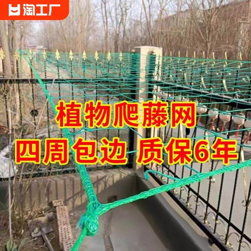 植物爬藤网丝瓜葡萄月季黄瓜攀爬网百香果搭架网种植网园艺家用