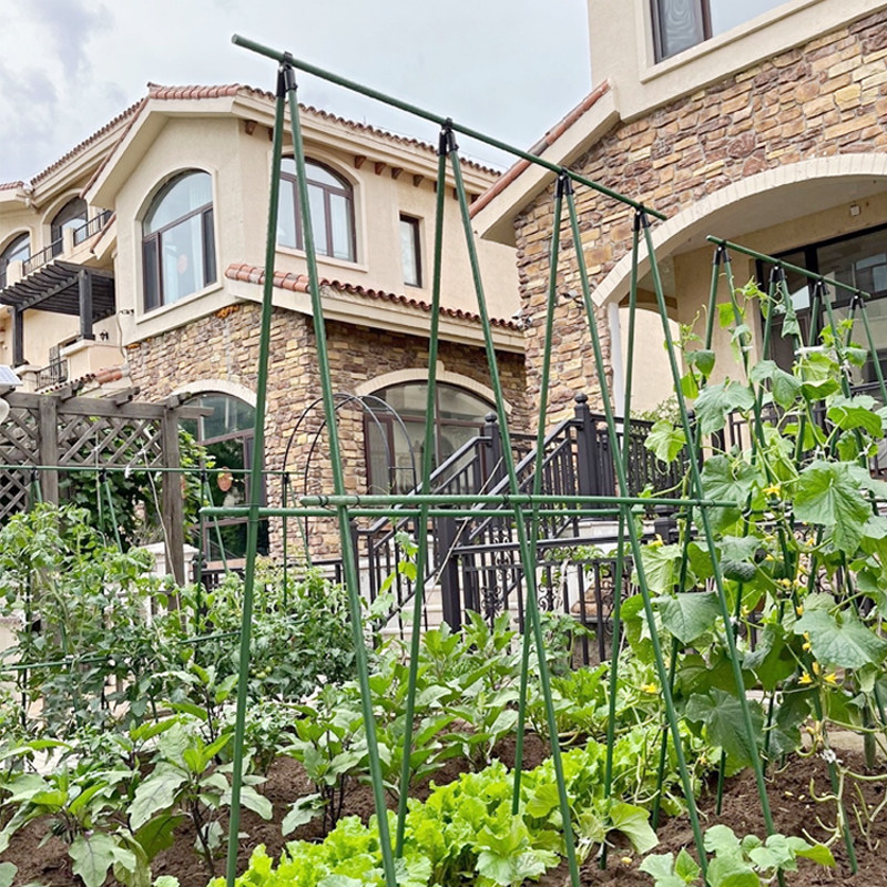 黄瓜丝瓜蔬菜种菜固定支撑杆架子月季花架庭院户外园艺专用
